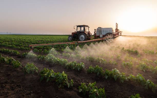Best Pest Prevention Services  in Childress, TX