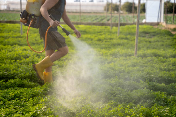 Best Pest Control Near Me  in Childress, TX