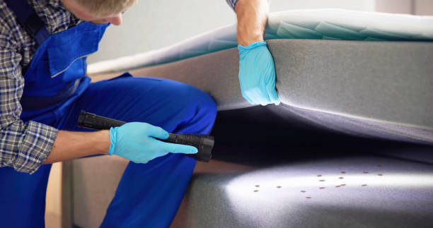 Best Pest Control Near Me  in Childress, TX