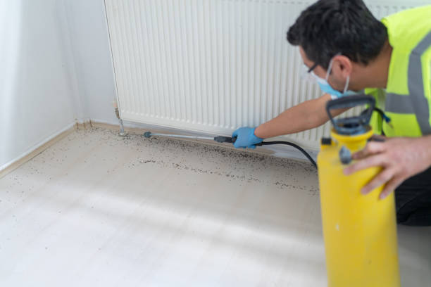 Best Local Pest Control Services  in Childress, TX